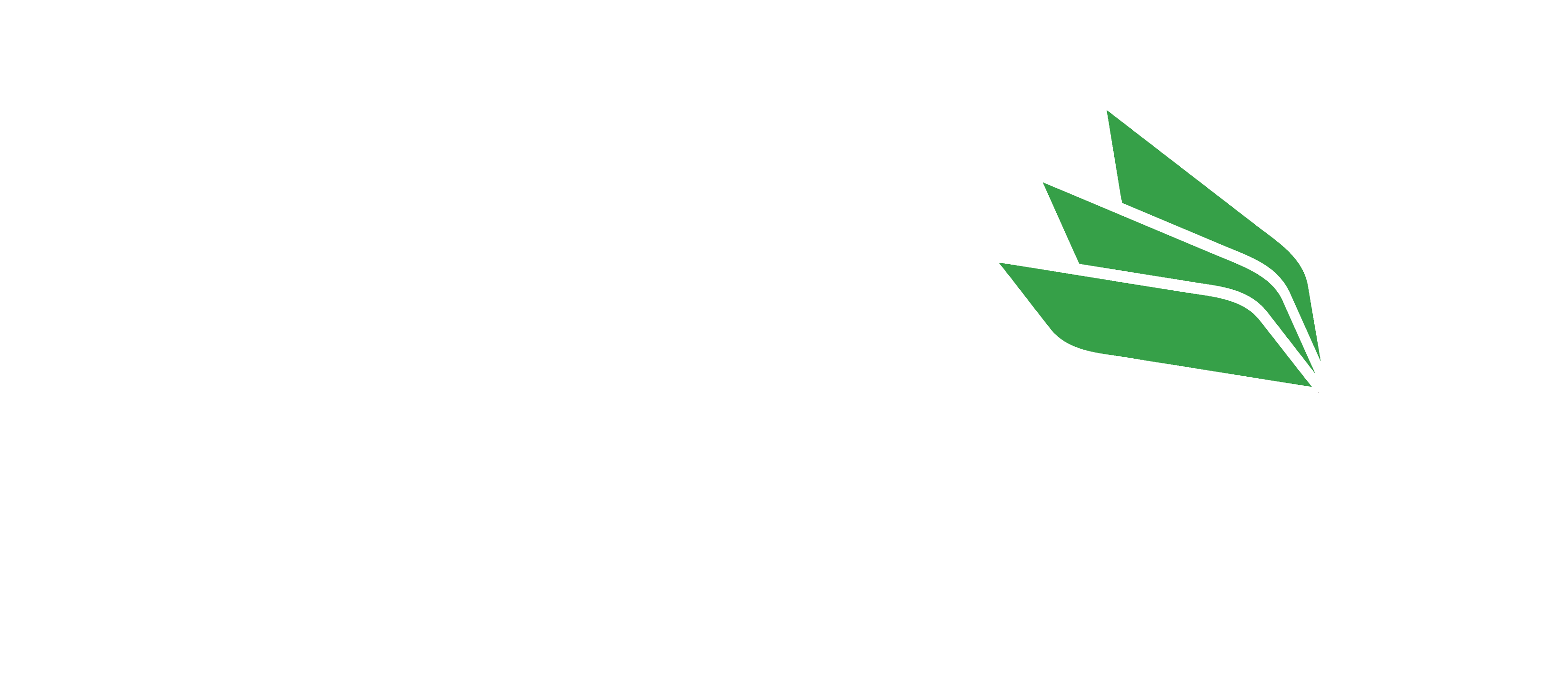 MailChannels Logo